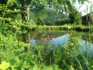 un étang dans un jardin avec des fleurs dans l'eau dans l'établissement Zbójnicki Ostęp, à Stronie Śląskie