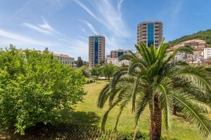 Naturlandskabet i nærheden af lejligheden