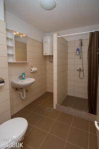 a bathroom with a shower and a sink and a toilet at Apartman Hajduk Konjic in Konjic +31 photos