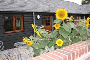 Ein paar Sonnenblumen vor einem Haus in der Unterkunft Blashford Manor Holiday Cottage - The Dartmoor Cottage in Ellingham