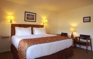 a hotel room with a large bed and a chair at Roadrunner Lodge Motel in Tucumcari