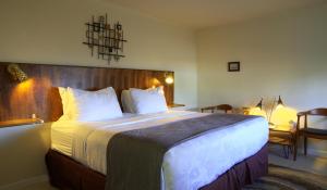 a bedroom with a large bed with a wooden headboard at Roadrunner Lodge Motel in Tucumcari
