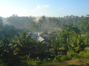 Paesaggio naturale nelle vicinanze della stanza in casa privata