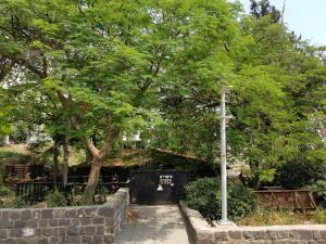 Fotografie z fotogalerie ubytování Kinneret Lodging v destinaci Tiberias