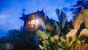Zahrada ubytování Baruna Guest House