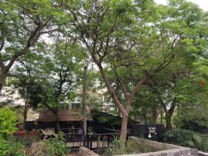 Zahrada ubytování Kinneret Lodging