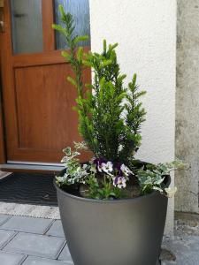 a large pot with flowers and plants in front of a door at Apartmán na výsluní in Luhačovice