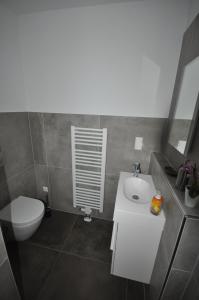 ein Badezimmer mit einem weißen Waschbecken und einem WC in der Unterkunft Ferienhaus Seerose in Hohenfelden