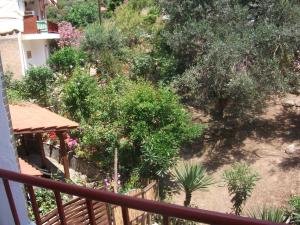 A garden outside Konstantina’s House