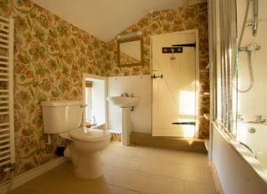 a bathroom with a toilet and a sink at Church Lane Cottage in Llanidloes