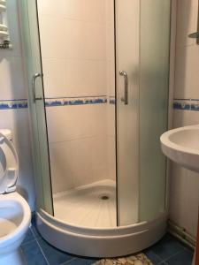 a shower in a bathroom with a toilet and a sink at Krasa Karpat in Snidavka +14 photos