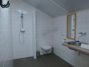 a bathroom with a shower and a toilet and a sink at De Stadsgaten in Rouveen