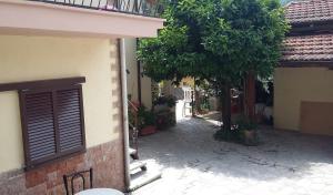 a building with a door and a tree in a courtyard at Casa Swami in La Spezia