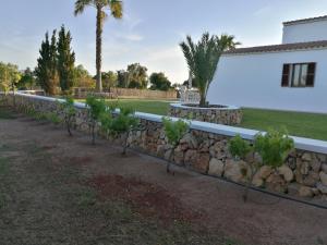 A garden outside Son Set Villa