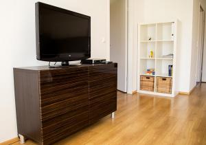 Μια τηλεόραση ή/και κέντρο ψυχαγωγίας στο Apartments am Turiawald