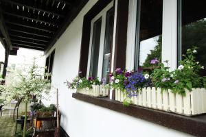 Zahrada ubytování Ferienwohnung Ulrichstein/ Bobenhausen II