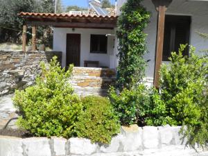 a house with bushes in front of a stone wall at Studios Cavo Doro in Otziás