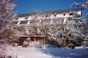 een gebouw met sneeuw bedekte bomen ervoor bij Hotel Zur Suhle in Eschbach