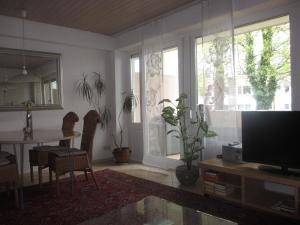 a living room with a television and a table with plants at Im Zentrum Hebelhof 2 Zi. in Freiburg im Breisgau +3 photos