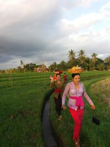 two women walking down a path in a field at Villa Gede Private Guest House in Selemadeg