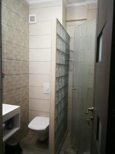 ママイア・ノルドにあるPorto del Mar Apartmentのバスルーム(トイレ、ガラス張りのシャワー付)