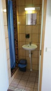 a bathroom with a sink and a shower curtain at Guesthouse Männiku in Pärnu
