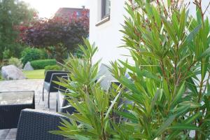 Ogród w obiekcie Appartementhaus Fritz-Rosenkranz