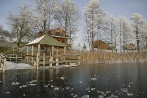 a gazebo next to a body of water at Mucenieki Brizules viesu nams in Brizule