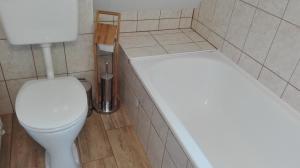 a small bathroom with a toilet and a sink at Almhütte Grosserhütte in Katschwald