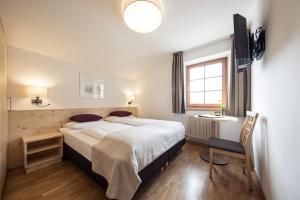 TV a/nebo společenská místnost v ubytování Hotel Masatsch
