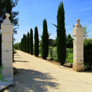 a row of cypress trees on a driveway at Residenza Torre Antica in Sommacampagna