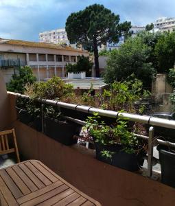 バスティアにあるPalais du Centreの鉢植えの植物と木製のベンチ付きのバルコニー
