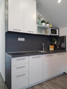 Kuchyň nebo kuchyňský kout v ubytování Apartment Prijeboj Plitvice Lakes