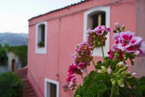 un edificio rosa e fiori di fronte a un edificio di I Giardini di Naxos a Giardini Naxos