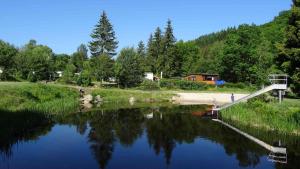 un pequeño estanque con una rampa para un aro de baloncesto en Camping Harfenmühle - Chalet, en Mörschied