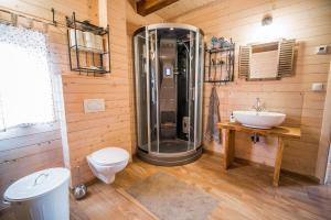 a bathroom with a shower and a toilet and a sink at Sunny House with Sauna in Bistrica ob Sotli