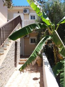 a palm tree in front of a house at Turtle Beach Apartment in Marathias +3 photos