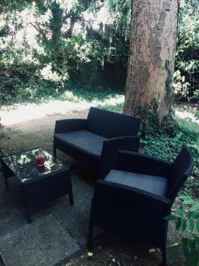 2 Stühle und ein Couchtisch vor einem Baum in der Unterkunft Nice n' Nordic 4 in Hamburg