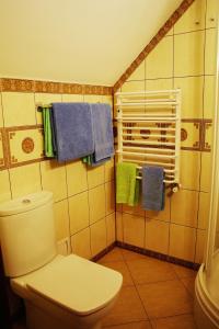 een badkamer met een toilet en een douche met handdoeken bij Villa Iris in Jaremtsje