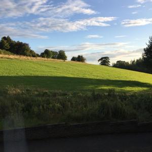 un campo de césped verde junto a una carretera en West Field Apartment, en Glasgow