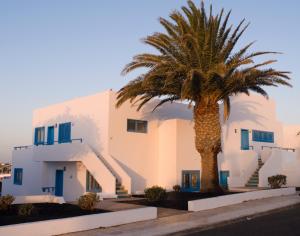 a palm tree in front of a building at Aparthotel Costa Mar in Puerto del Carmen