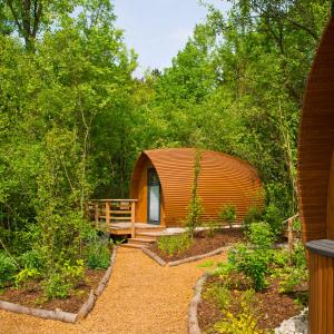 ein kreisförmiges Haus inmitten eines Waldes in der Unterkunft Glamping Resort Biosphäre Bliesgau in Kleinblittersdorf