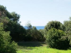 a path through the trees in a field at Bright Home in Carg se Corse du Sud with Barbecue in Cargèse