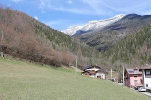 einen grasbewachsenen Hügel mit Häusern und einem schneebedeckten Berg in der Unterkunft B&B Val Maschi in Lamon