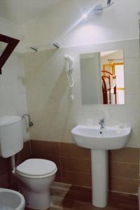 チェントラにあるAgriturismo San Leonardoのバスルーム(白いトイレ、シンク付)