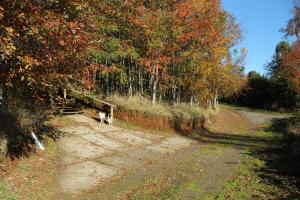 拉戈朗科Cabañas Mas Ke Miel的相册照片