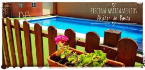 a fence with a potted plant next to a swimming pool at Apartamentos Alcazar de Baeza in Baeza