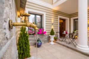 Zahrada ubytování Villa Ester