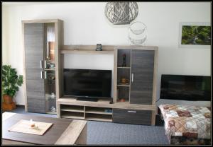 Televízia a/alebo spoločenská miestnosť v ubytovaní Apartment Šedivý