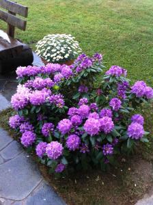 Foto dalla galleria di Naturresidenz Kropfitsch a Krumpendorf am Wörthersee Altre 24 foto